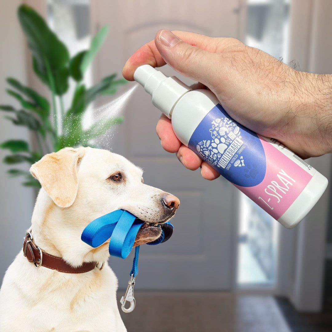 Z-SPRAY