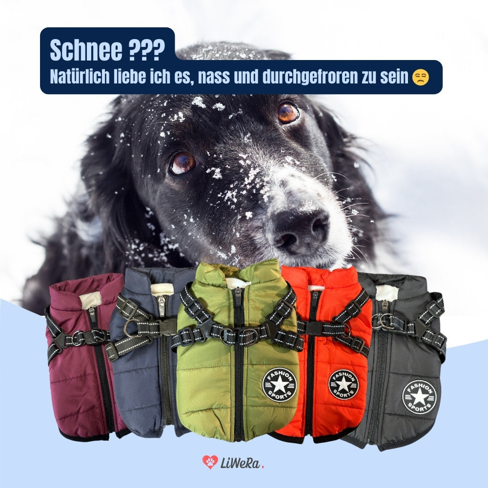 Wasserfeste Hundejacke DELUXE