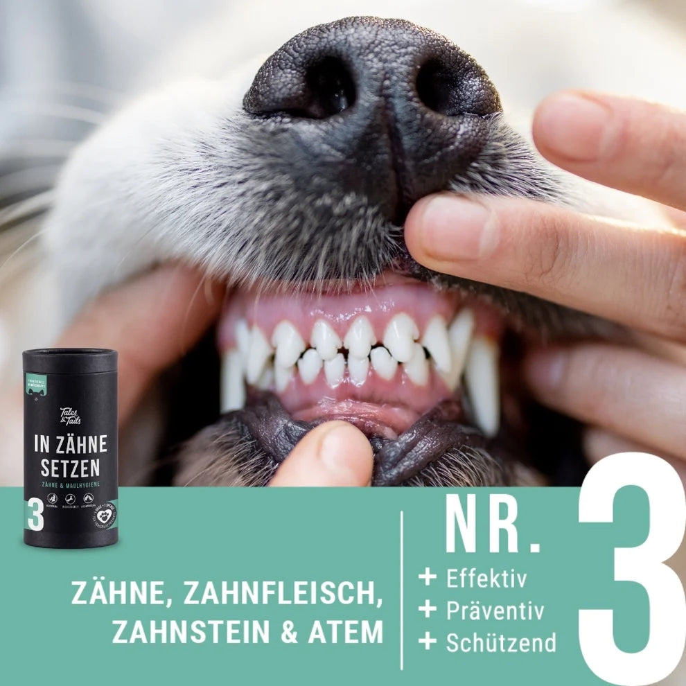 "In Zähne setzen" - Zahnpflege-Snack für Hunde