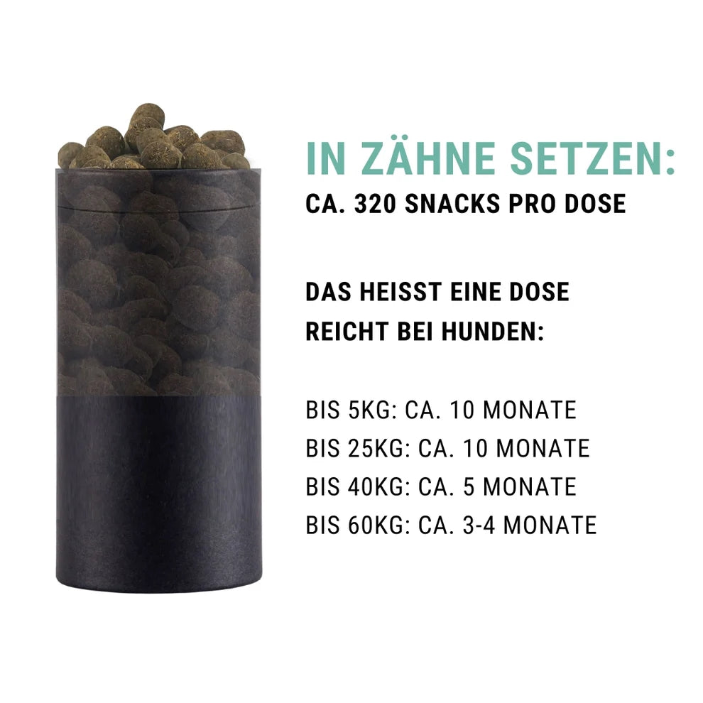 "In Zähne setzen" - Zahnpflege-Snack für Hunde