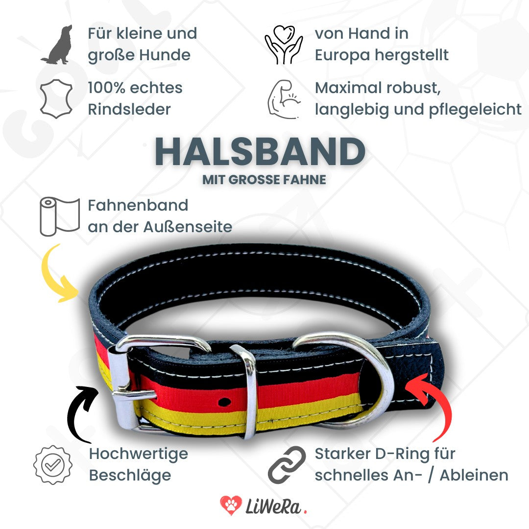 Leder Hundehalsband schwarz-rot-gold