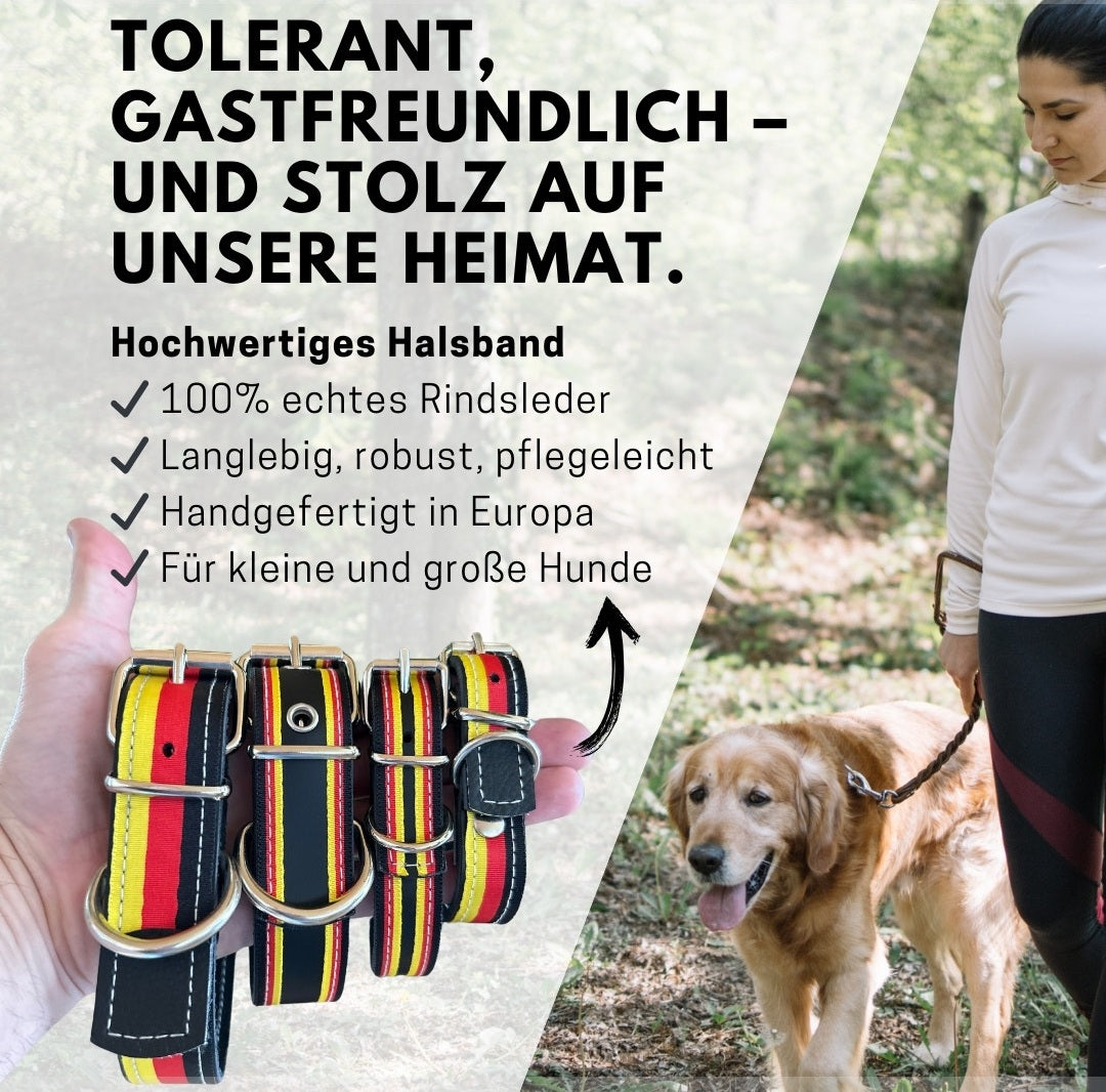 Leder Hundehalsband schwarz-rot-gold