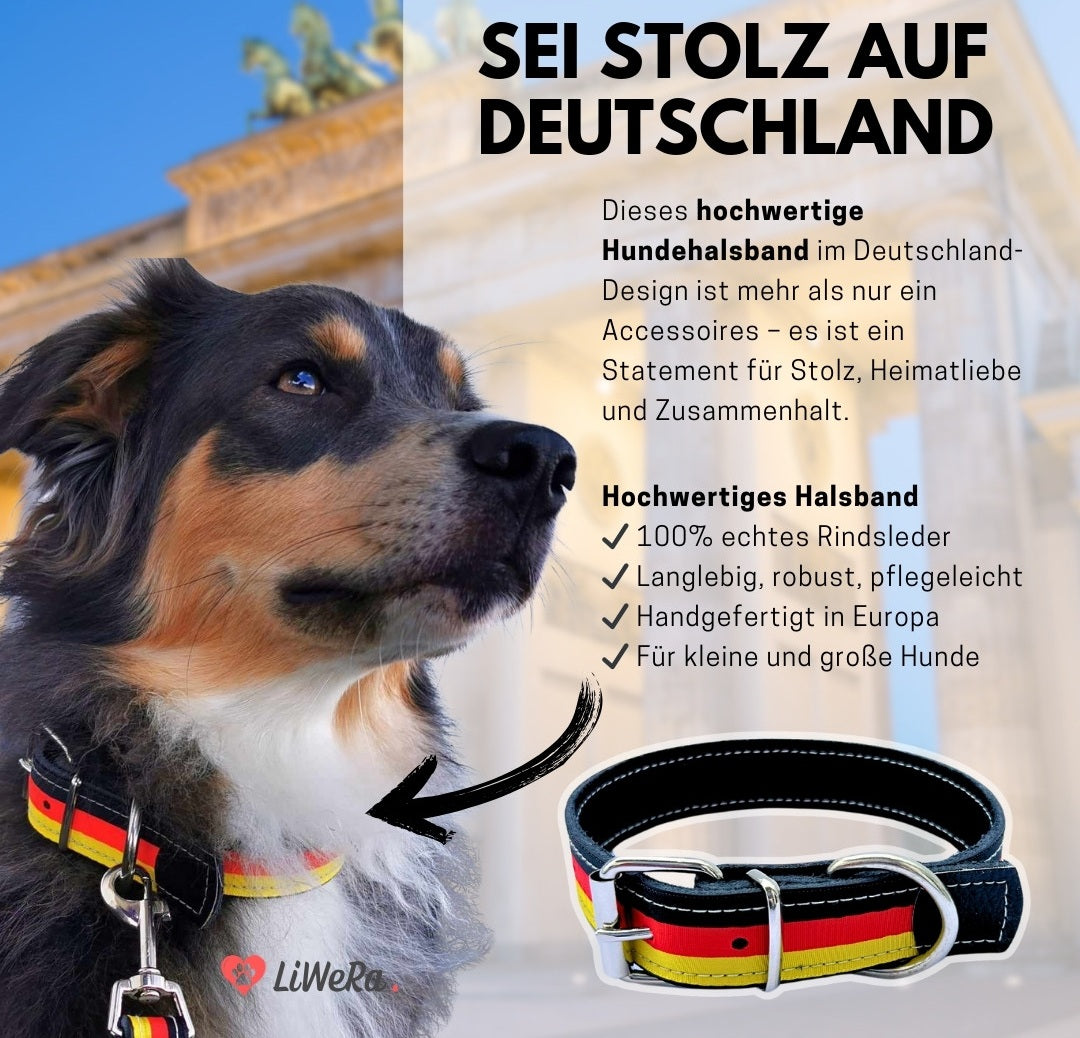 Leder Hundehalsband schwarz-rot-gold