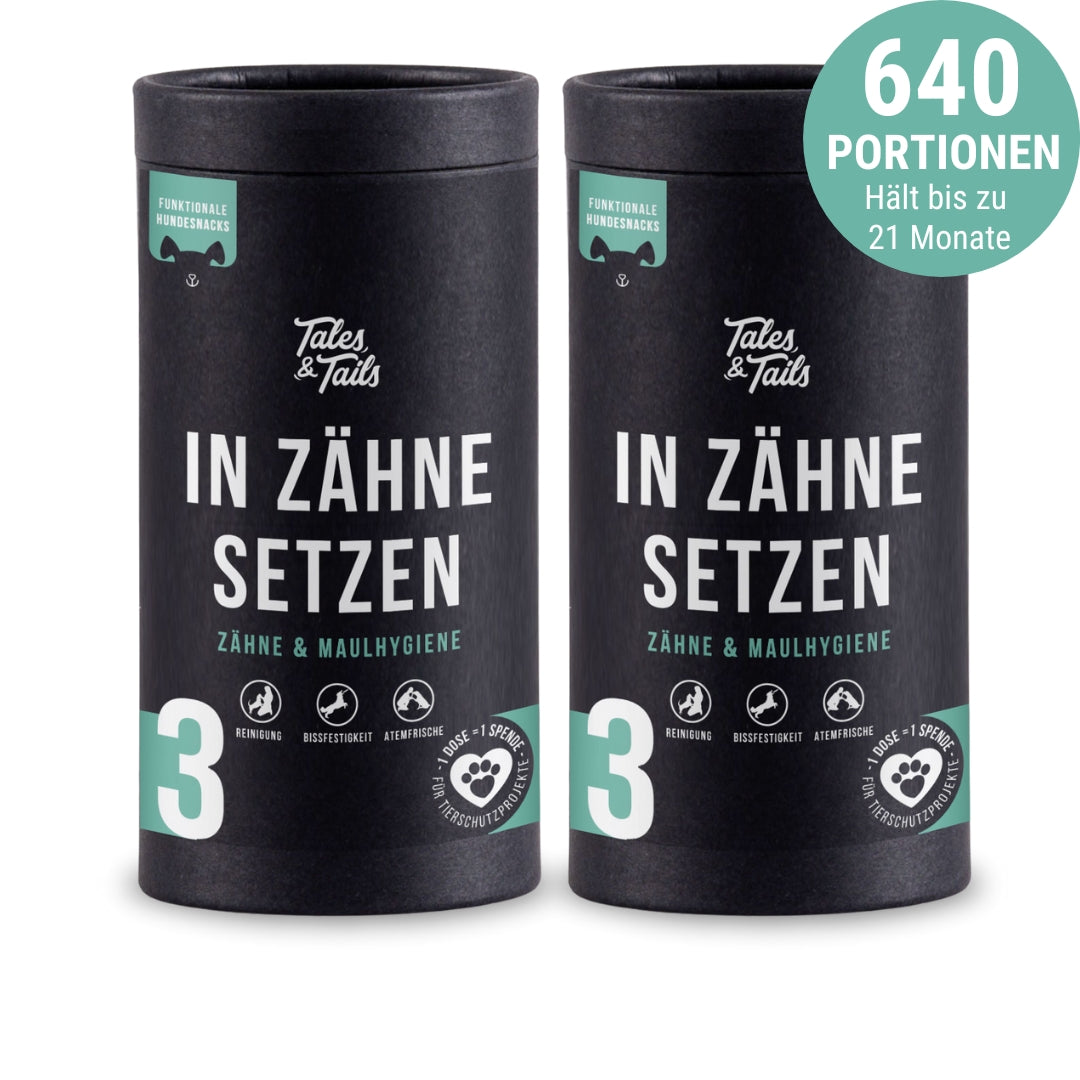 "In Zähne setzen" - Zahnpflege-Snack für Hunde