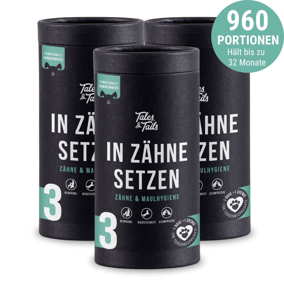 "In Zähne setzen" - Zahnpflege-Snack für Hunde