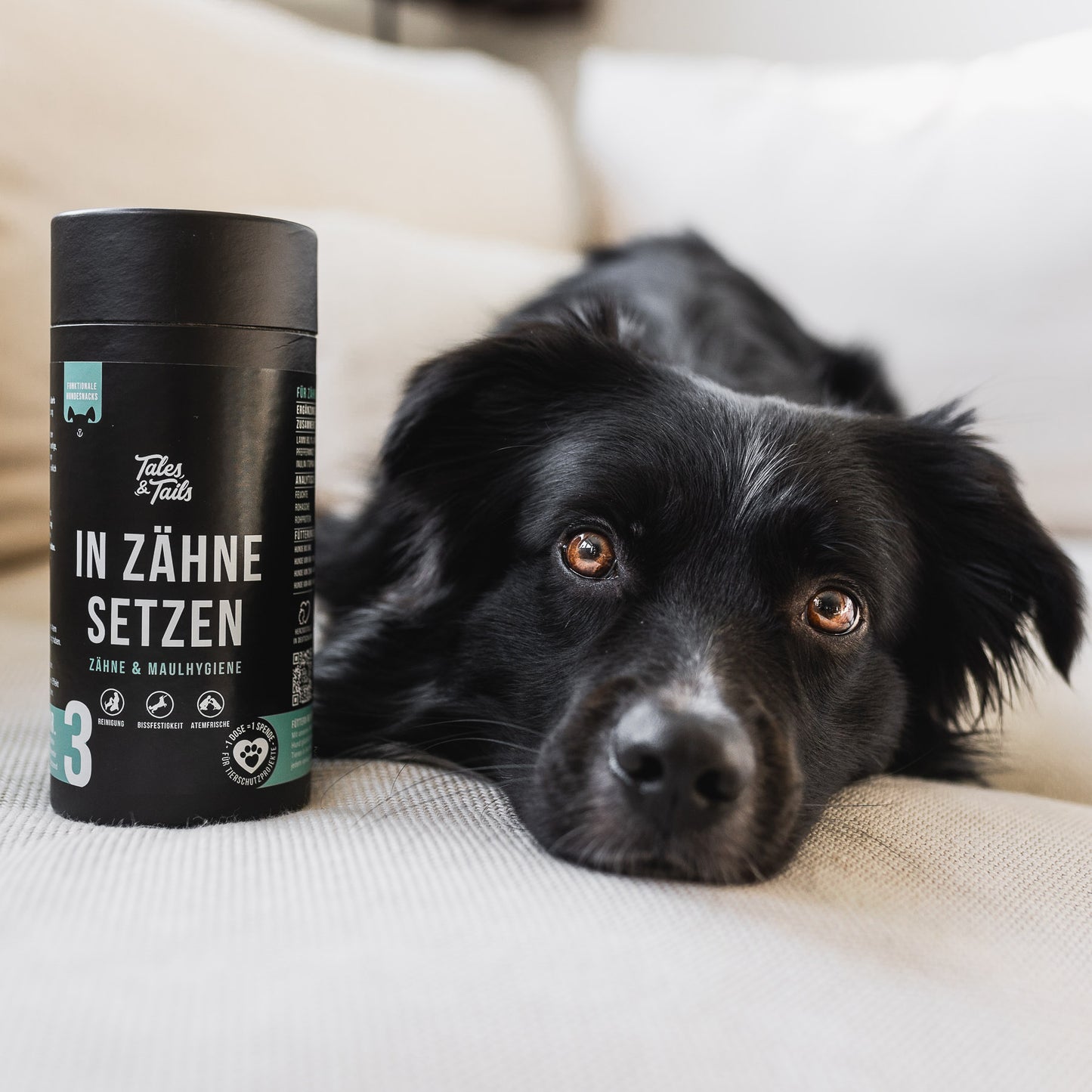 "In Zähne setzen" - Zahnpflege-Snack für Hunde