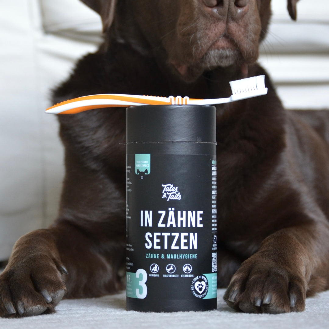 "In Zähne setzen" - Zahnpflege-Snack für Hunde