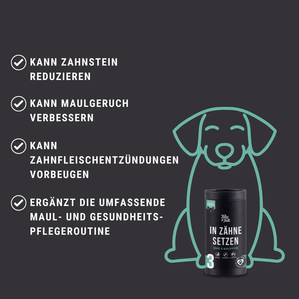 "In Zähne setzen" - Zahnpflege-Snack für Hunde