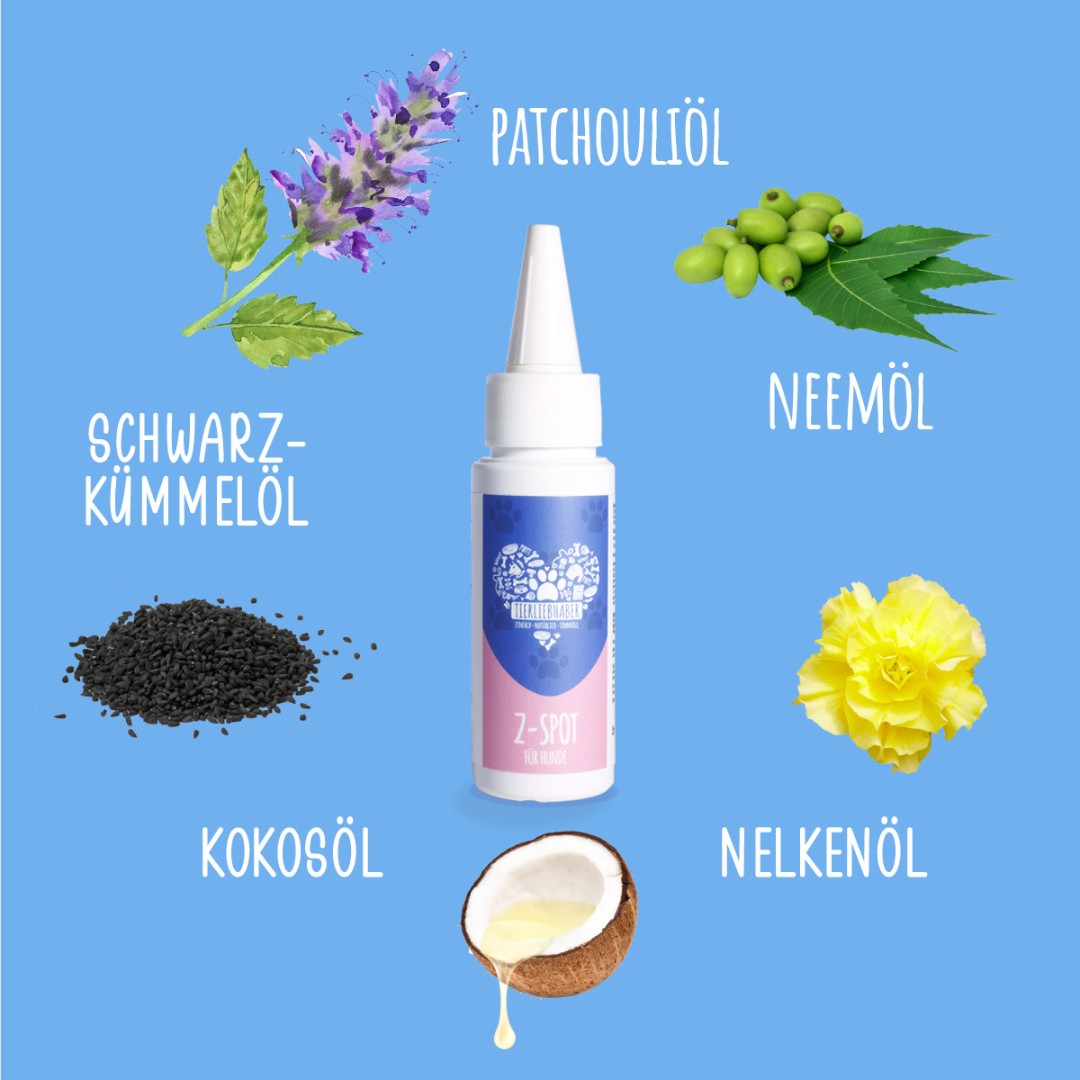 Anti-Zecken-Box: Z-SNACK, Z-SPOT & PREMIUM Fellpflege Shampoo + GRATIS Bio-Kotbeutel