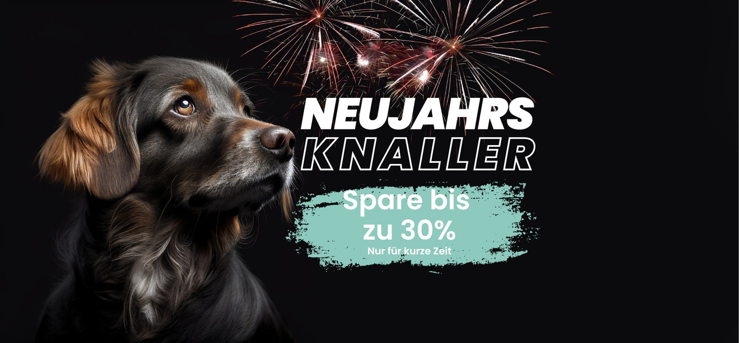 Banner Neujahrs Knaller