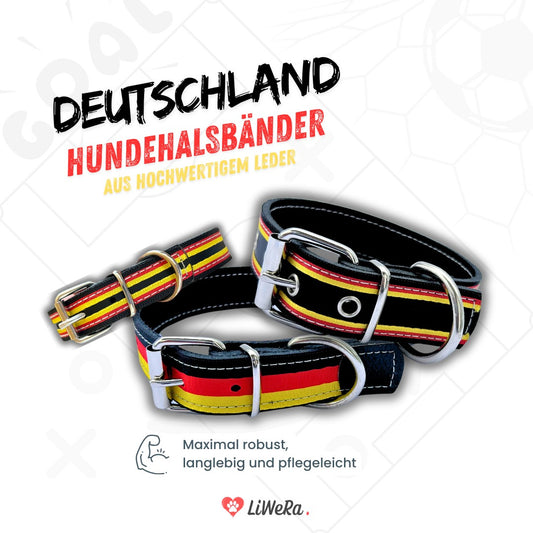 Leder Hundehalsband schwarz-rot-gold