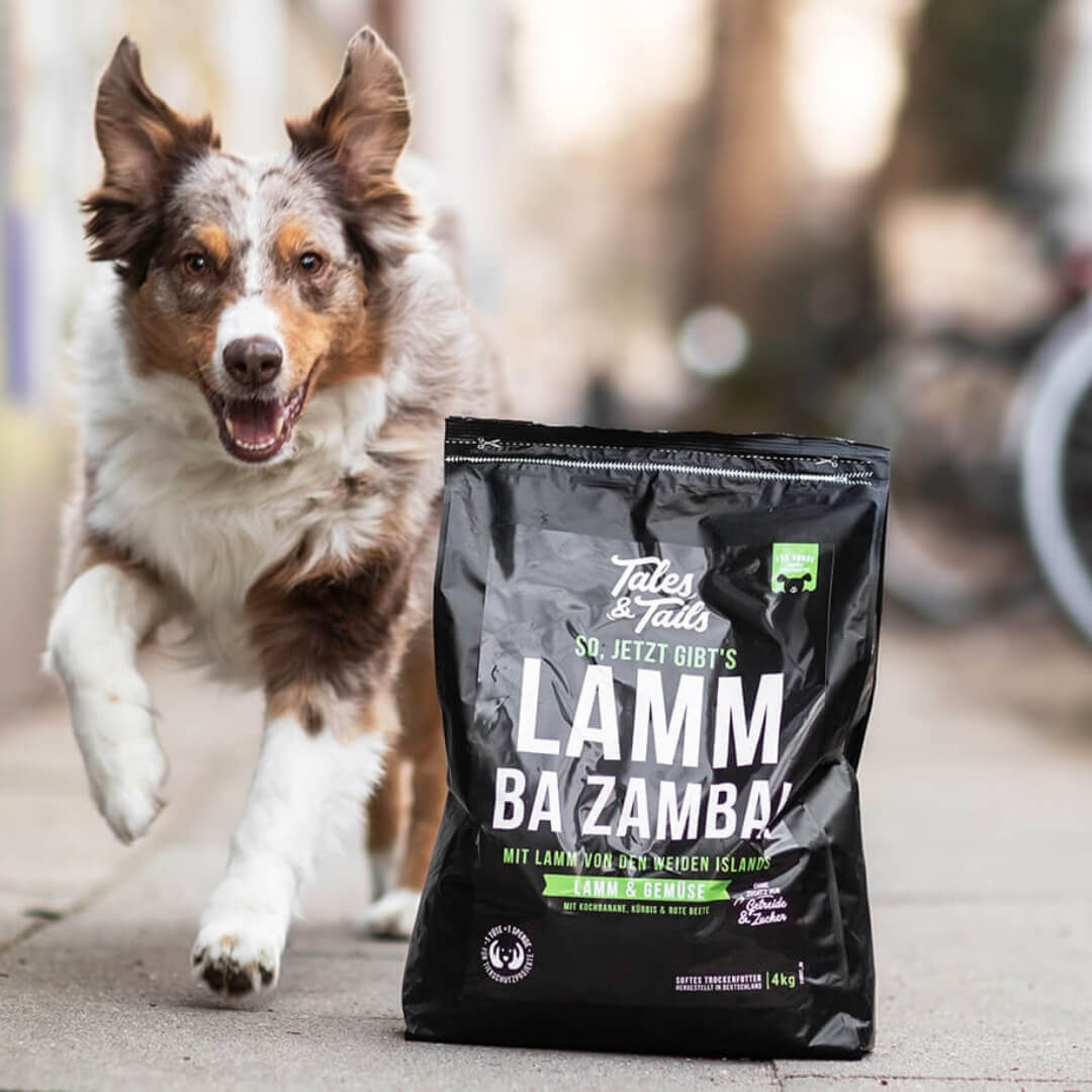 "LammBa Zamba" - Softes Trockenfutter mit Lamm