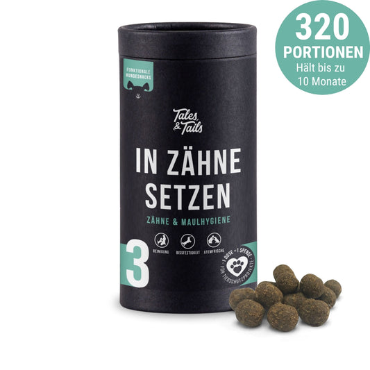 "In Zähne setzen" - Zahnpflege-Snack für Hunde