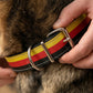 Leder Hundehalsband schwarz-rot-gold