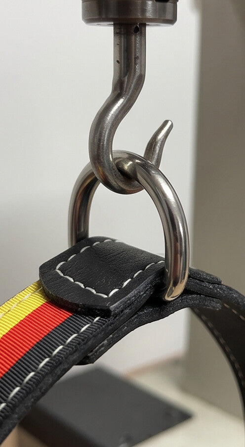 Leder Hundehalsband schwarz-rot-gold